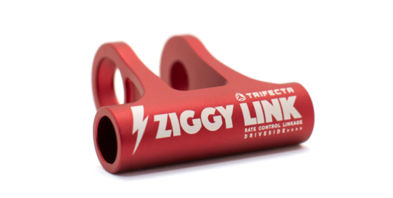 Forbidden Ziggy Link